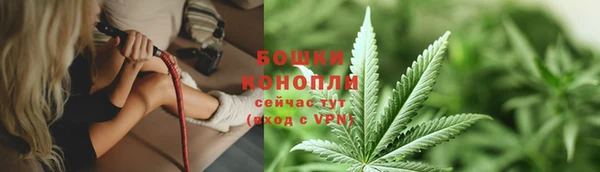 мдпв Богородицк